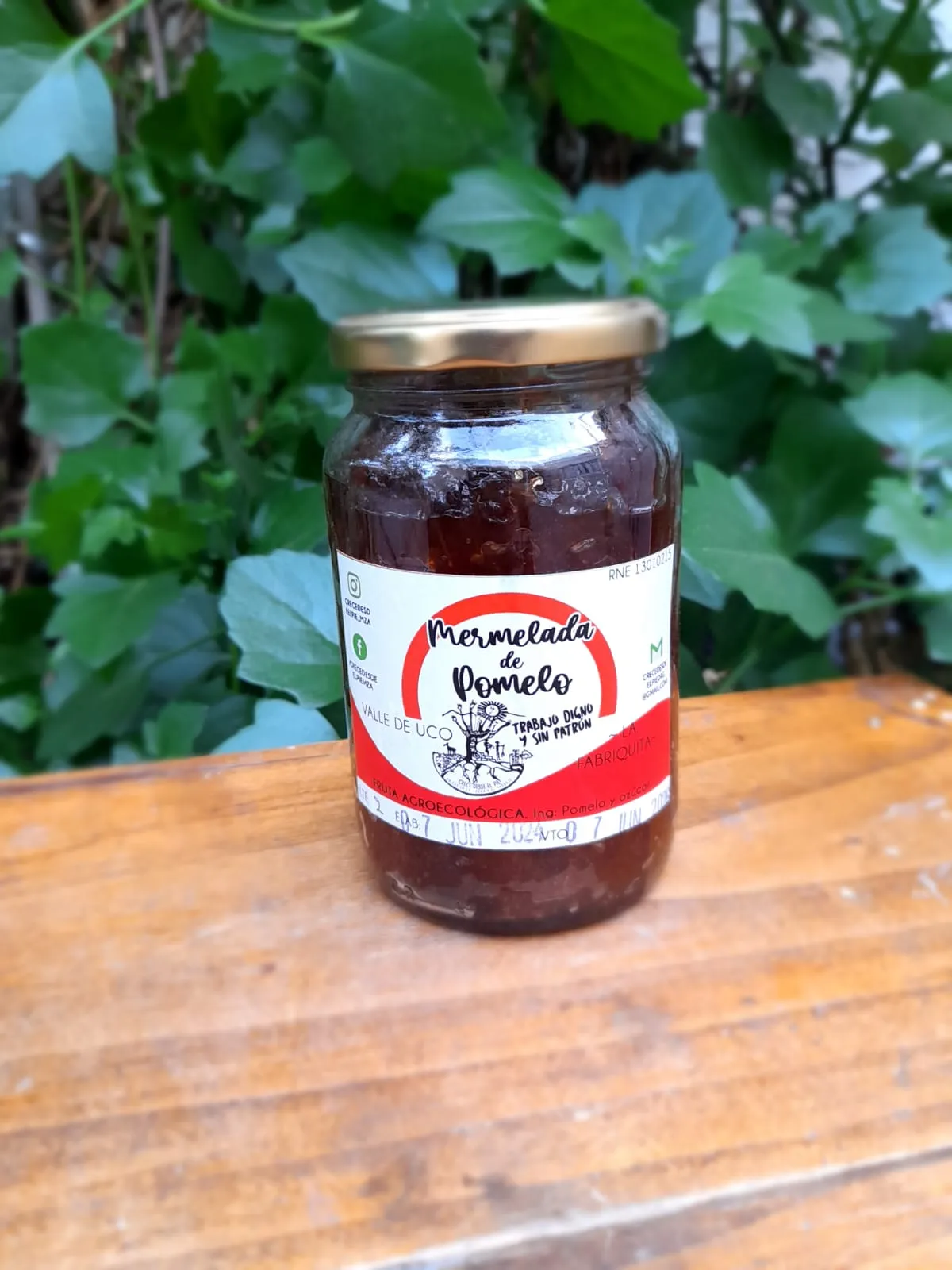 Mermelada de Pomelo