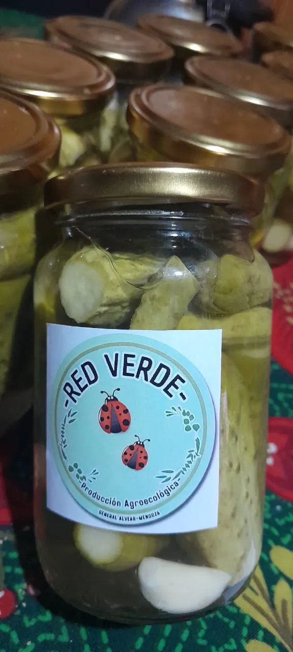 Pepinitos en conserva