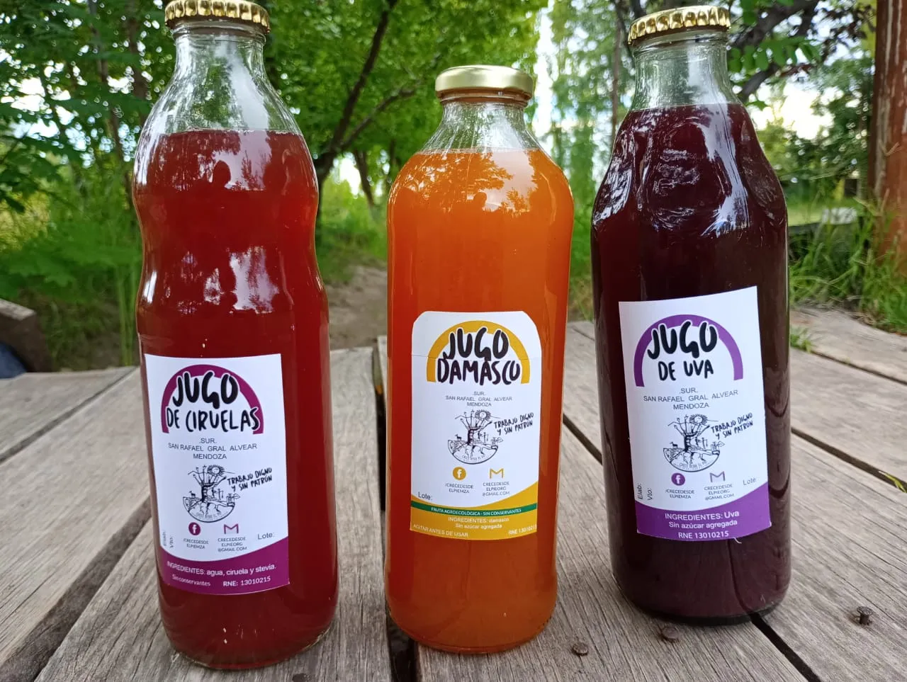 Jugo de Uvas