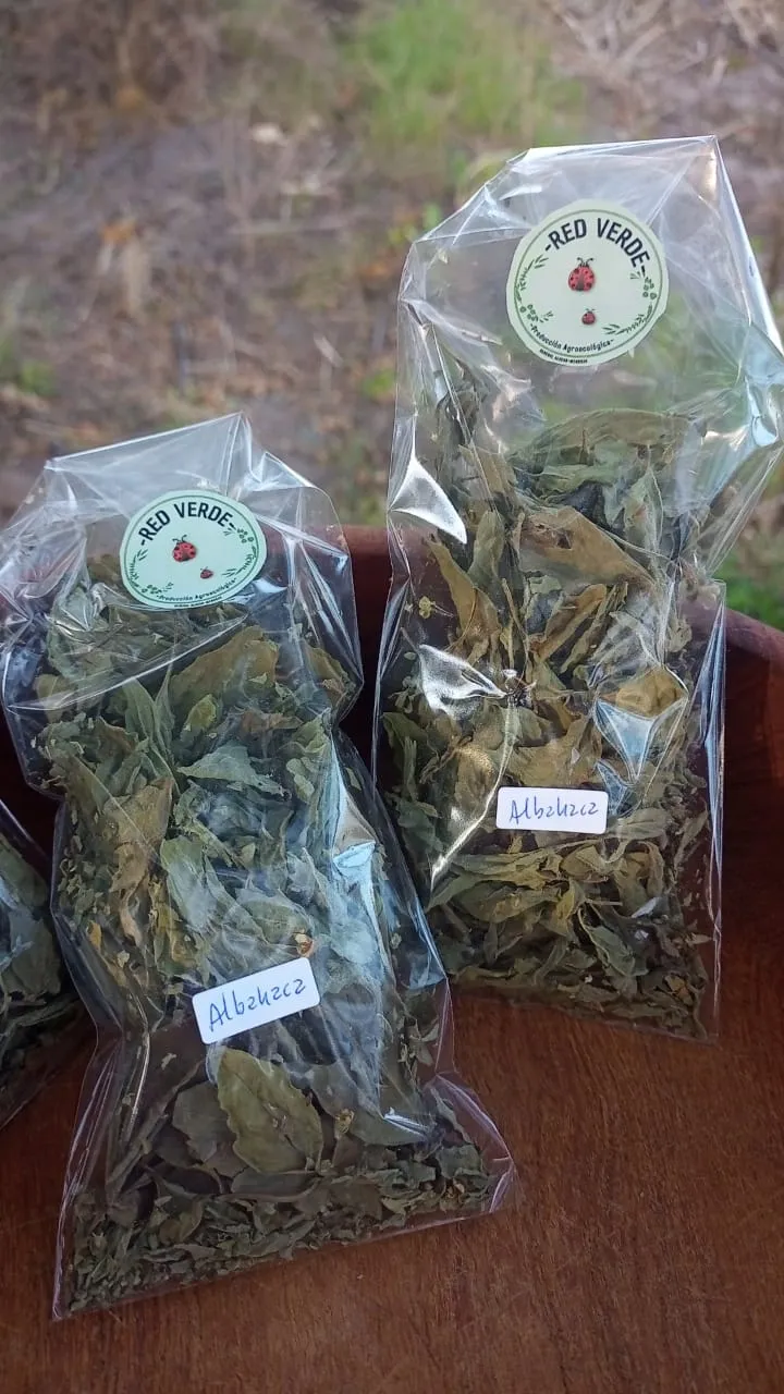 Albahaca deshidratada