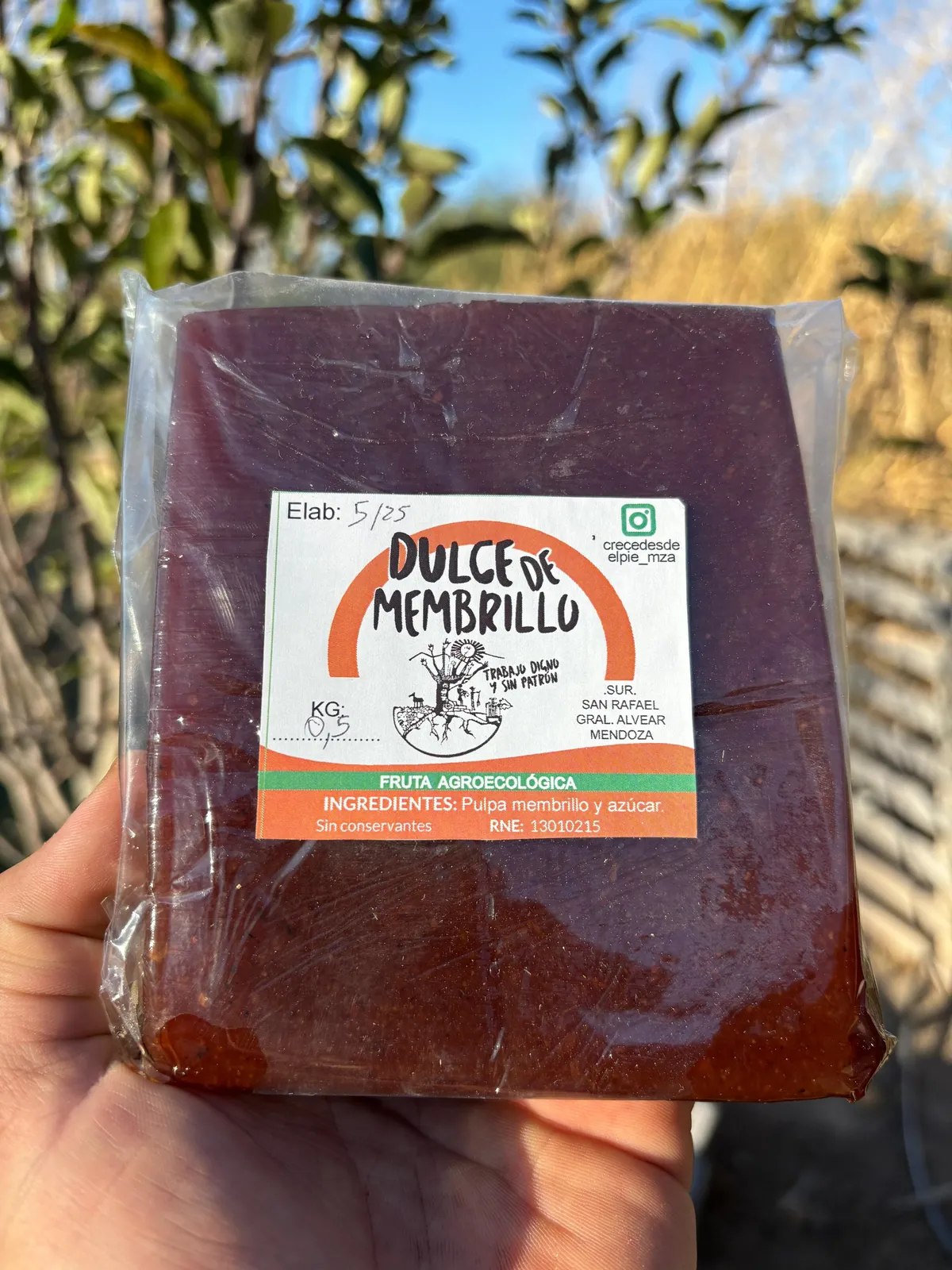 Dulce de membrillo en pan 1/2kg
