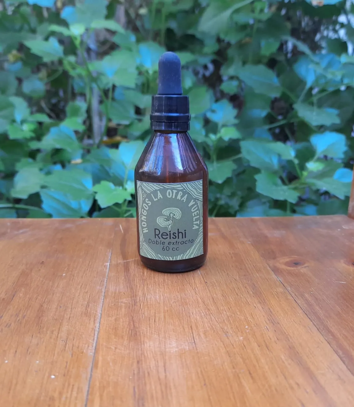 Reishi Doble extracto 60cc