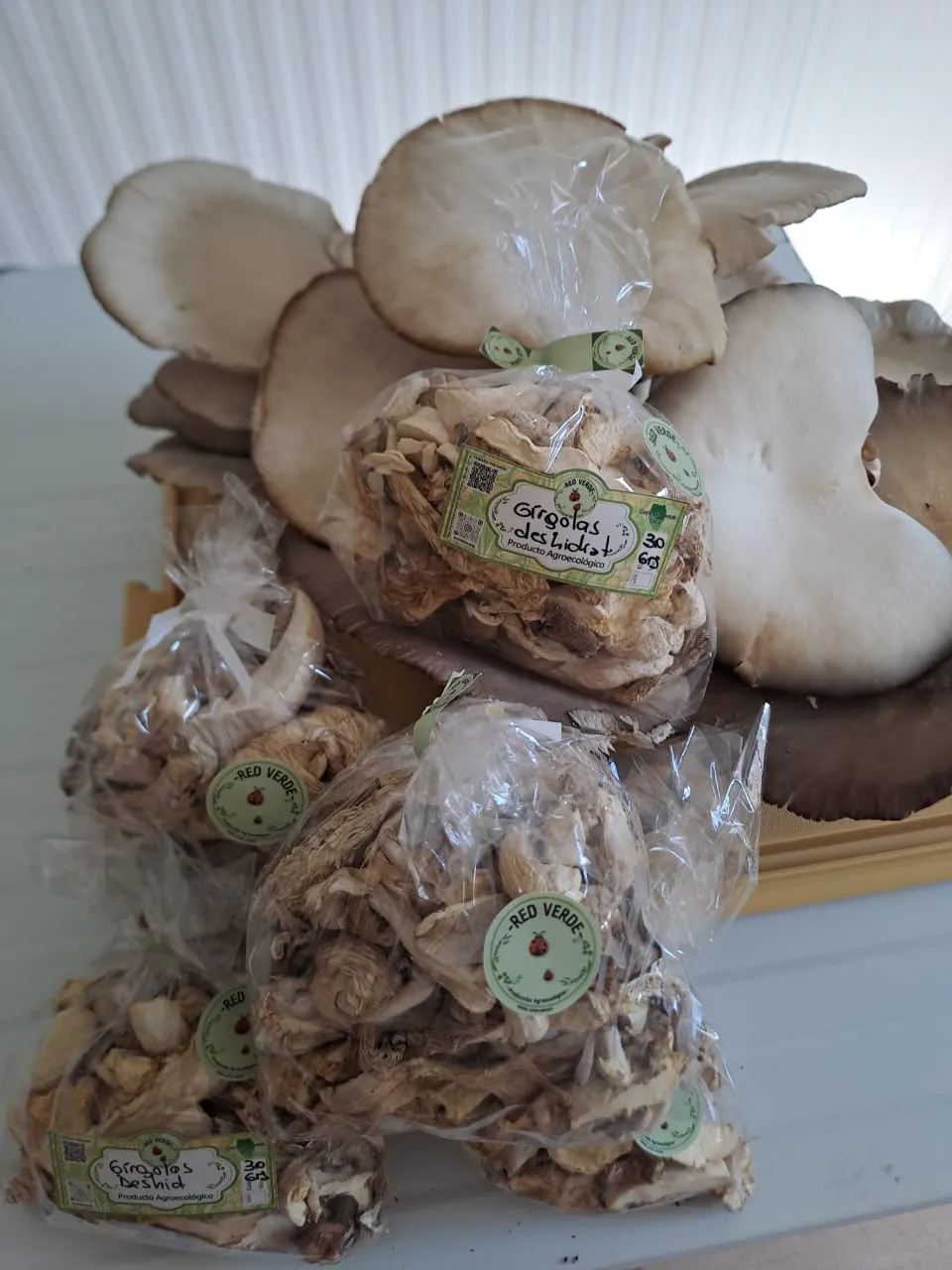 Hongos Girgolas deshidratadas
