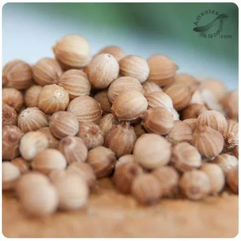 coriandro en grano