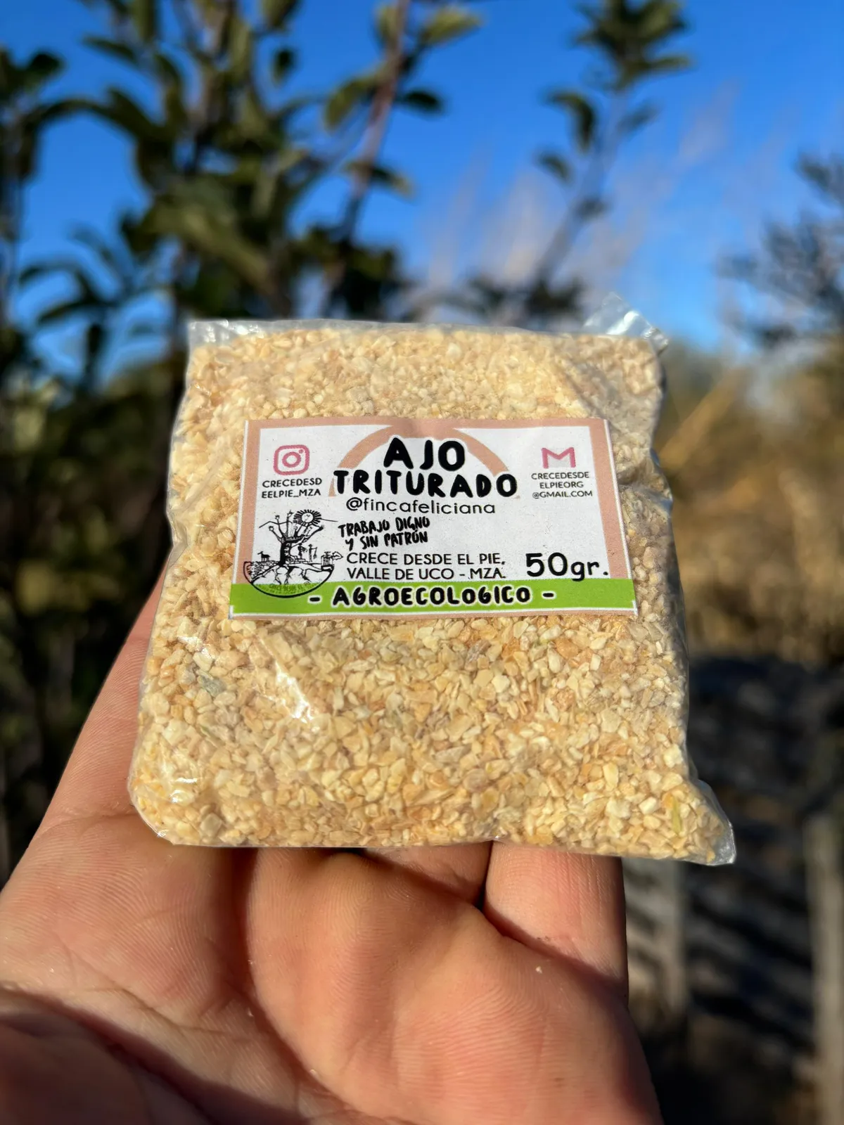 Ajo triturado